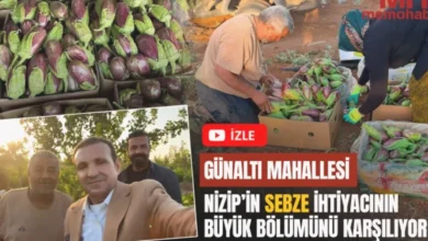 Günaltı sebze üretimi - Günaltı'nda Sebze Bereketine Emek