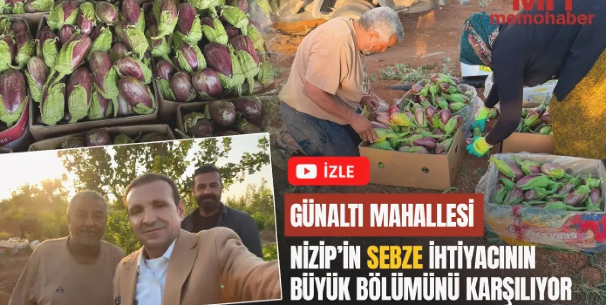 Günaltı'nda Sebze Bereketine Emek