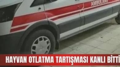 hayvan otlatma kavgası - Hayvan Otlatma Kavgası: Yaralılar Var