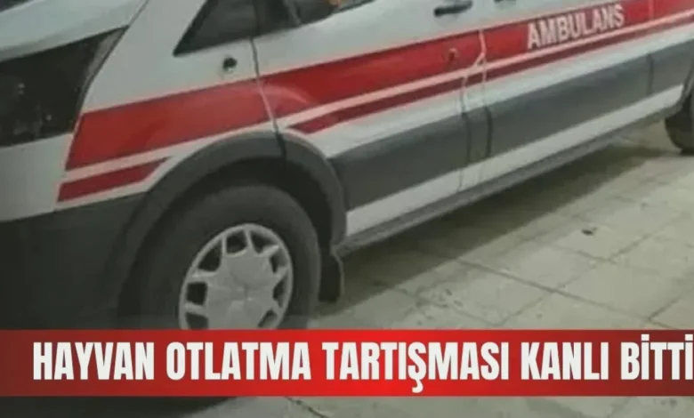 hayvan otlatma kavgası - Hayvan Otlatma Kavgası: Yaralılar Var