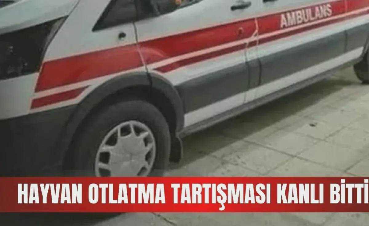 Hayvan Otlatma Kavgası: Yaralılar Var