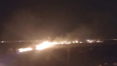 arazi yangını - İslahiye'de Arazi Yangını: Müdahale Başarıyla Sonuçlandı