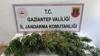 narkotik operasyonu - Jandarma Narkotik Operasyonu: 9 Gözaltı