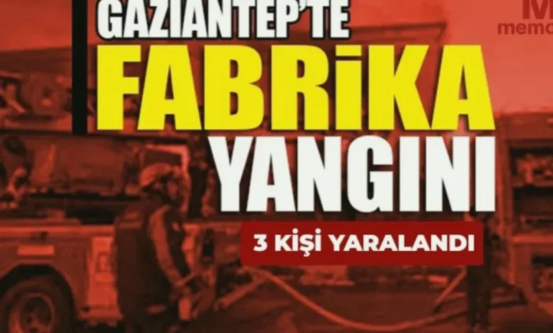 Kevser Halı Yangını - Kevser Halı'da Duman: Soru İşaretleri...