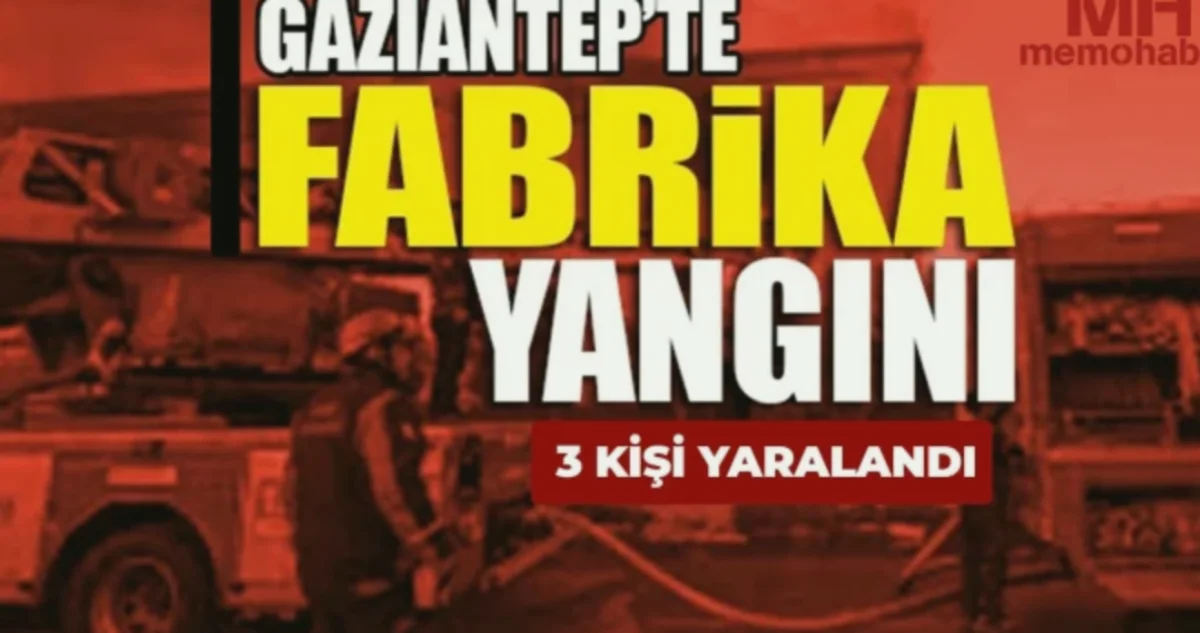 Kevser Halı'da Duman: Soru İşaretleri...