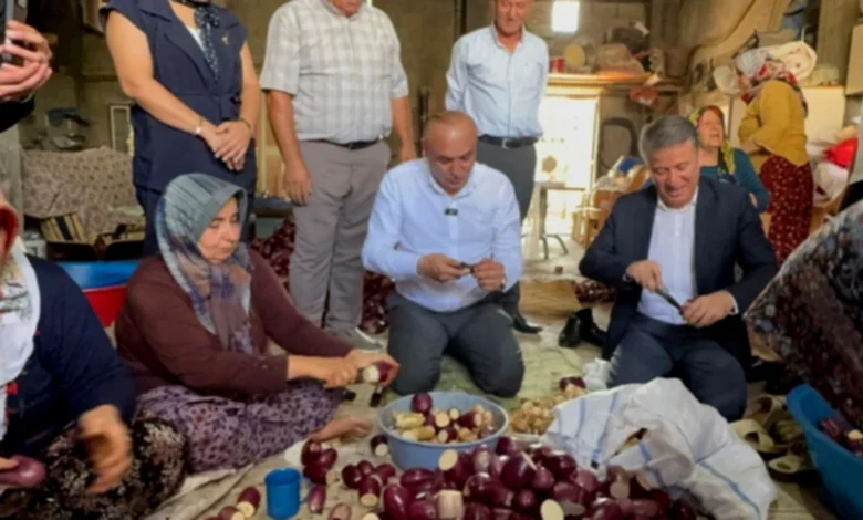 kurutmalık patlıcan üretimi - Kurutmalık Patlıcan Üretimi: Oğuzeli'nde Çiftçi Krizde