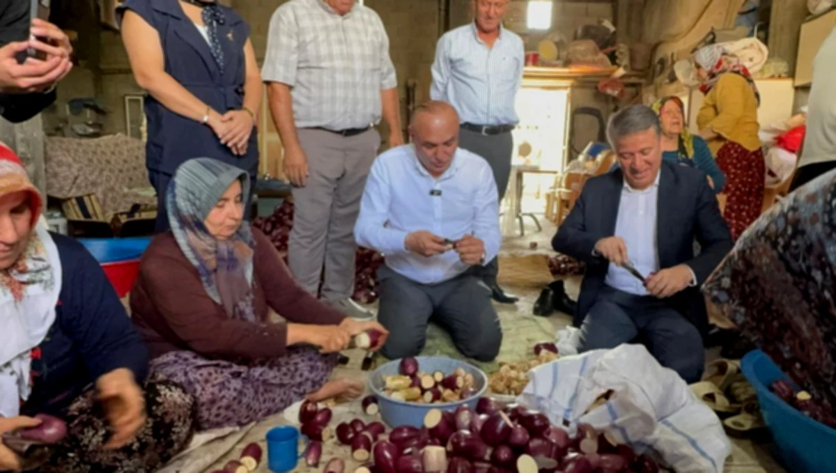 Kurutmalık Patlıcan Üretimi: Oğuzeli'nde Çiftçi Krizde