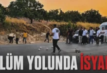 Nizip ölümlü kazalar - Nizip'te Yol Kapandı: Ölümlü Kazalar Devam Ediyor