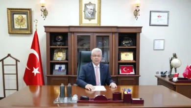 Nizip ihracat rekoru - Nizip'ten Rekor İhracat: 245 Milyon Dolar
