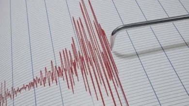 Nurdağı'nda deprem - Nurdağı'nda Sarsıntı: Gaziantep'te Korku Anları