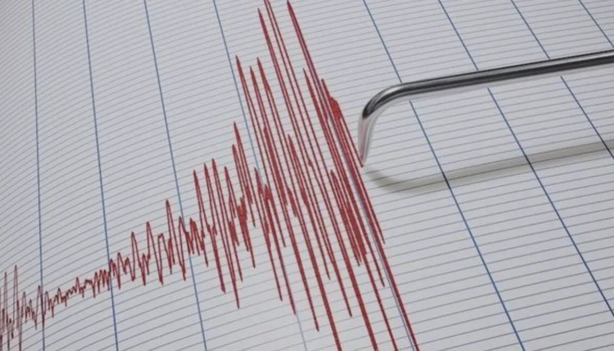 Nurdağı'nda Sarsıntı: Gaziantep'te Korku Anları