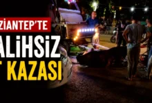 yaralı at - Oğuzeli'nde Yaralı At: Tepki Çekti