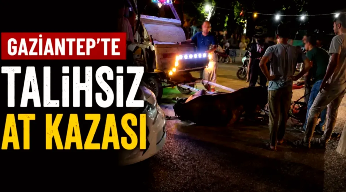 Oğuzeli'nde Yaralı At: Tepki Çekti