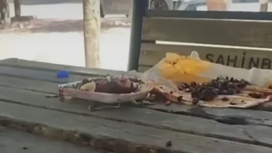 yemek saygısızlığı - Parkta Y emek Saygısızlığı Tepki Çekti