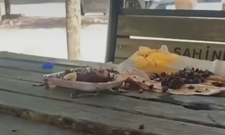yemek saygısızlığı - Parkta Y emek Saygısızlığı Tepki Çekti