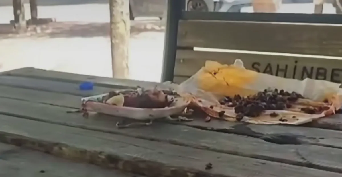 Parkta Y emek Saygısızlığı Tepki Çekti