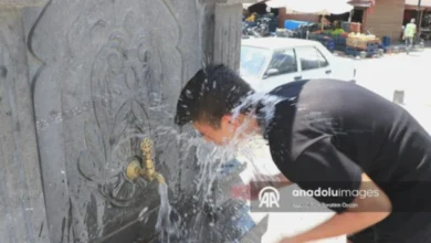 sıcak hava etkisi - Sıcak Hava Etkisi: Gaziantep - Sıcaklıklar Bastırdı, Haya...