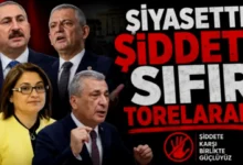 Meriç saldırısı - Siyasette Şiddet: Meriç Saldırısı Tepki Çekti