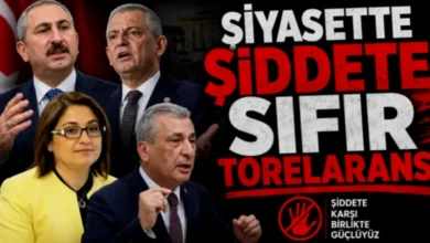 Meriç saldırısı - Siyasette Şiddet: Meriç Saldırısı Tepki Çekti