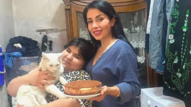 sokak kedisi sahiplenme - Sokak Kedisi Umut Oldu: Gaziantep'te Hayvan Sevgisi