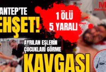 Suriyeli aile kavgası - Suriyeli Aile Kavgası: Kanlı Bitiş