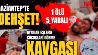 Suriyeli aile kavgası - Suriyeli Aile Kavgası: Kanlı Bitiş