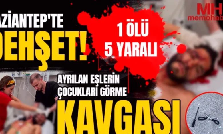 Suriyeli aile kavgası - Suriyeli Aile Kavgası: Kanlı Bitiş