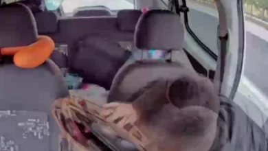 TAG otoyolu hırsızlık - TAG Otoyolu Hırsızlık: Kuzenler Sahneye Çıktı