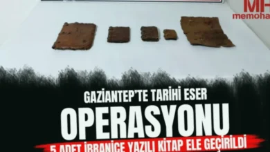 tarihi kitap kaçakçılığı - Tarihi Kitap Kaçakçılarına Araban'da Darbe
