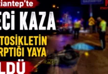 yayanın ölümü - Yayanın Ölümü: Asıl Kusur Kimde?