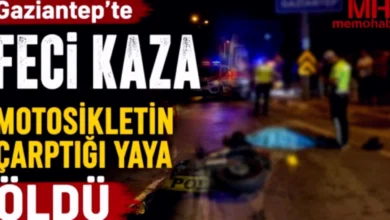 yayanın ölümü - Yayanın Ölümü: Asıl Kusur Kimde?