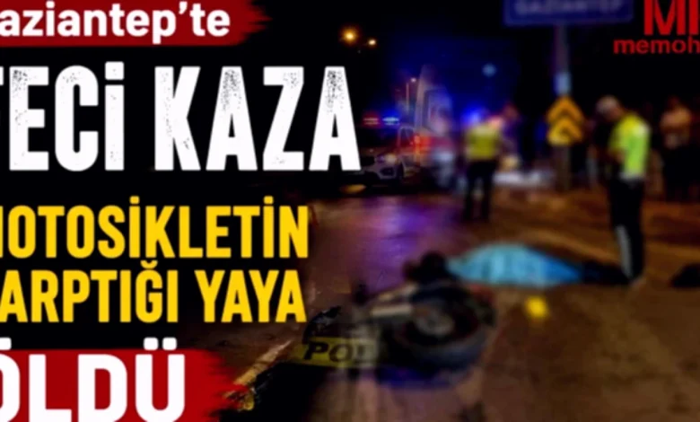 yayanın ölümü - Yayanın Ölümü: Asıl Kusur Kimde?