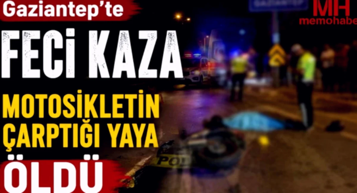 Yayanın Ölümü: Asıl Kusur Kimde?