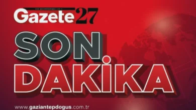 Altın Hırsızlığı Akrabalar - Altın Hırsızlığı: Akrabalar Yakalandı