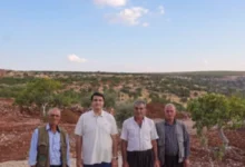Şıho Dayı yol - Başkan Yılmaz'dan Şıho Dayı'ya Yol Müjdesi