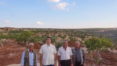 Şıho Dayı yol - Başkan Yılmaz'dan Şıho Dayı'ya Yol Müjdesi