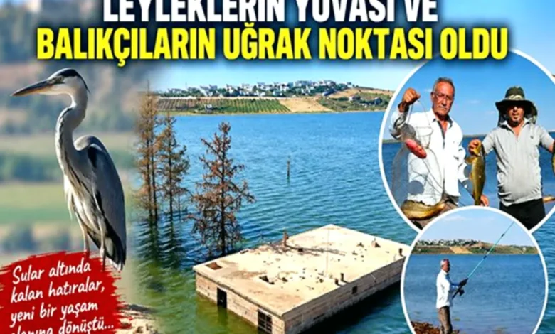 Belören leylek balık - Belören: Leylekler ve Balıkçılar Diyarı