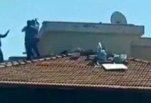 çatı kavgası - Çatıdaki Tehlike: Gaziantep'te Kim, Neden Kavga Etti?
