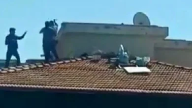 çatı kavgası - Çatıdaki Tehlike: Gaziantep'te Kim, Neden Kavga Etti?