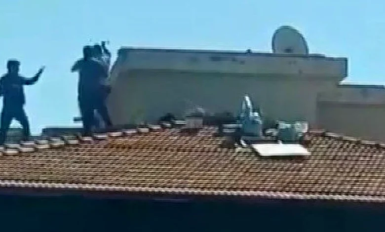 çatı kavgası - Çatıdaki Tehlike: Gaziantep'te Kim, Neden Kavga Etti?