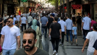 Eşek Dedin Yandın - Eşek Dedin Yandın: Yargıtay'dan Emsal Karar
