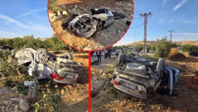 fıstık bahçesi kazası - Fıstık Bahçesi Mucizesi: Kazanın Ardındaki Sırlar
