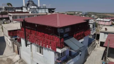 Gaziantep biber - Gaziantep: Biberin Kırmızısı, Halkın Geçimi