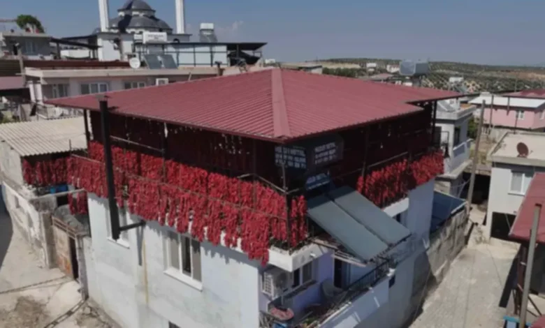 Gaziantep biber - Gaziantep: Biberin Kırmızısı, Halkın Geçimi