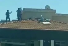 Gaziantep çatıda kavga - Gaziantep Çatıda Kavga: Gaziantep Çatısında Gergin Anlar!