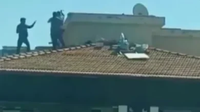 Gaziantep çatıda kavga - Gaziantep Çatıda Kavga: Gaziantep Çatısında Gergin Anlar!