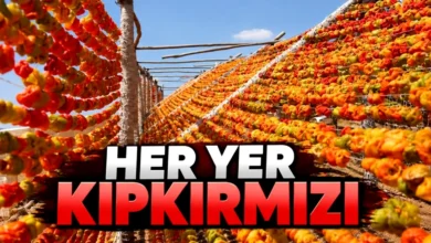 Gaziantep kurutmalık - Gaziantep Kızardı: Kurutmalık Fiyatları Şaşırttı