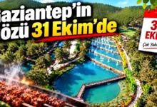Gaziantep Orman Yasakları - Gaziantep Orman Yasakları Bitse Mangal Başlar