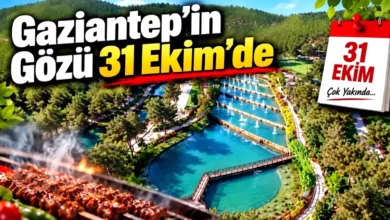 Gaziantep Orman Yasakları - Gaziantep Orman Yasakları Bitse Mangal Başlar