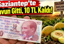 10 TL helallik - Gaziantep'te 10 TL Helallik: Kavun Hırsızlığı mı, Mahsul ...